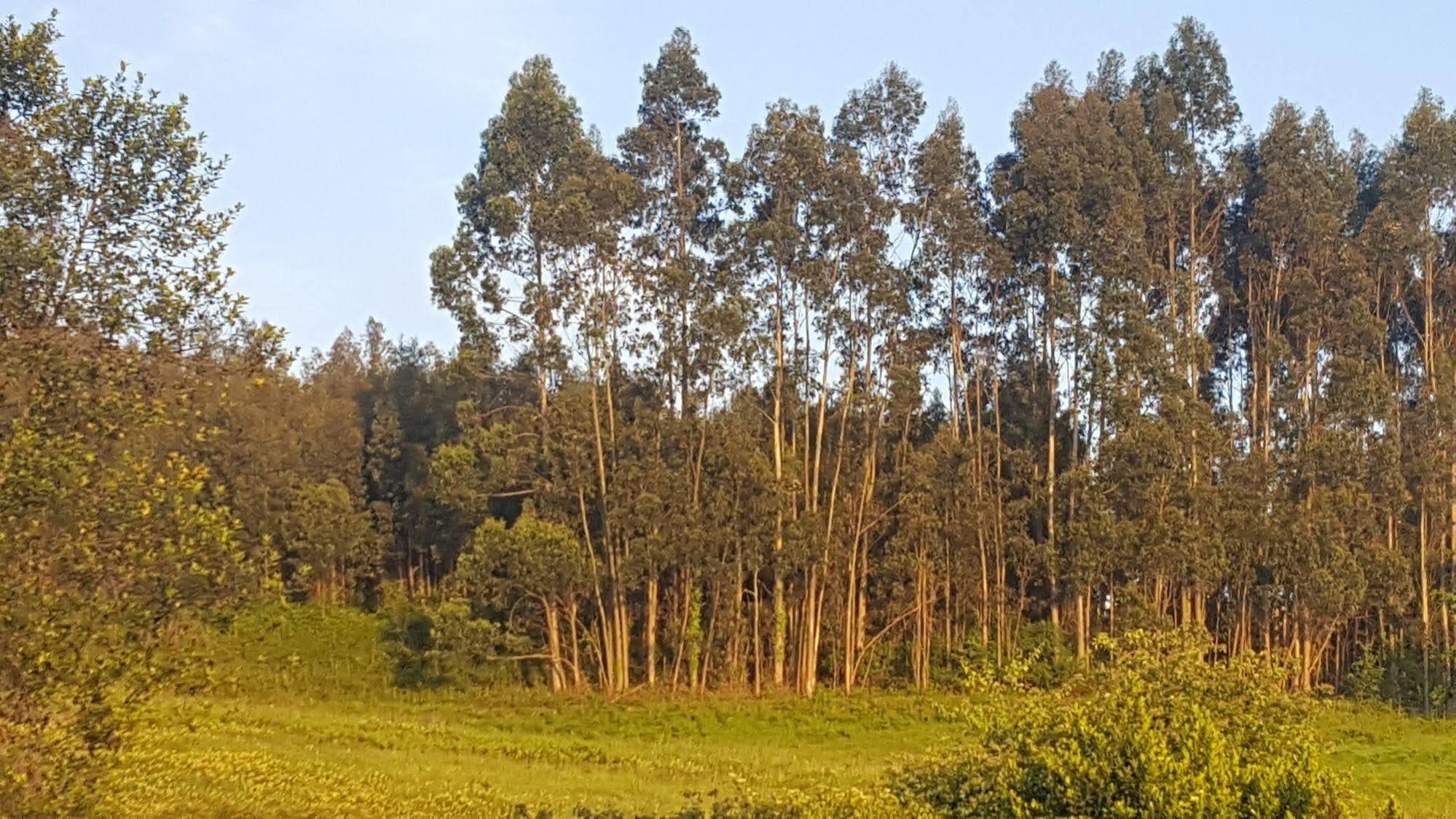 Hotel Rural Foncubierta سوتو ديل باركو المظهر الخارجي الصورة