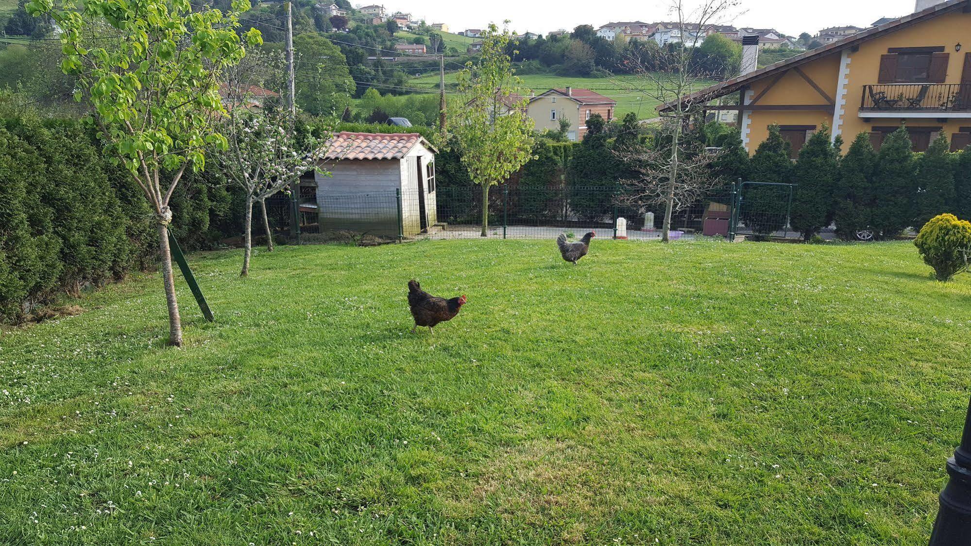 Hotel Rural Foncubierta سوتو ديل باركو المظهر الخارجي الصورة